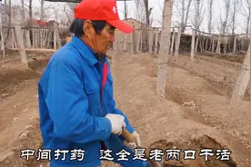 张家口这村大哥种2亩葡萄，一亩葡萄能挣多少钱？说出钱没人想种