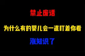 禁止废话：为什么有的婴儿会一直盯着你看？涨知识了