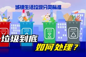 生活垃圾到底是如何处理的？送到垃圾厂分类处理，出来就成方块视频封面
