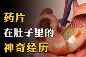 当布洛芬吃进肚子，在体内会经历什么？3分钟了解止痛药的原理视频封面