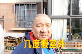 气温达到几度，北方园艺人家里的绣球可以搬到室外露天养护？