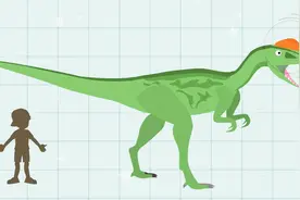 双脊龙头上的两片骨冠有什么用？视频封面