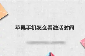 苹果手机怎么看激活时间？别着急，我来帮你搞定！