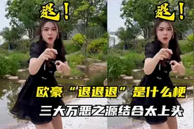 欧豪“退退退”是什么梗，三大万恶之源结合，引来各大网红模仿