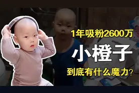 凭借“拆家”走红，1年涨粉2600万的小橙子，到底有啥魅力？