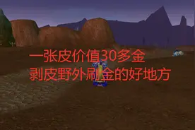 魔兽世界tbc：一张皮价值30多金，剥皮野外刷金的好地方