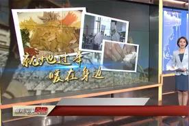 融通集团推出为军惠军服务新举措视频封面