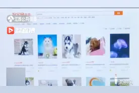 邮寄活体动物盛行？
