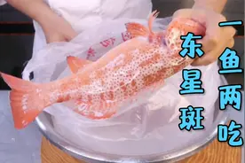 米其林菜品的做法把一条东星斑做出两道菜，鲜美嫩滑汤鲜味美！