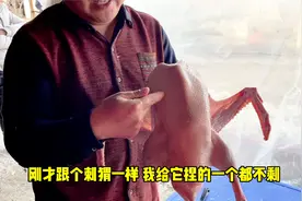 为什么吃鹅的比吃鸡鸭少？这个问题能说明部分原因，鹅好吃毛难褪视频封面