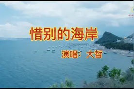 男生版怀旧金曲《惜别的海岸》，一样的旋律，不一样的感觉....视频封面