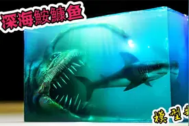 模型：雄性鮟鱇鱼是寄生生物？会被雌性鮟鱇鱼吸入体内！