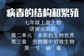病毒的结构和繁殖，逼真的演示让过目不忘