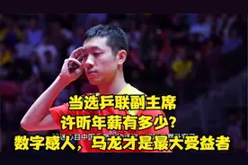 当选乒联副主席，许昕年薪有多少？数字感人，马龙才是最大受益者视频封面