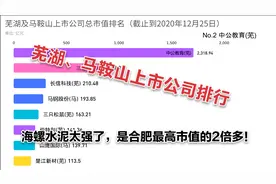 芜湖、马鞍山兄弟市 上市公司市值排名 海螺水泥和中公教育好强！