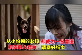 一部看哭几百万人感人短片:从小怕狗的女孩与狗狗的真实故事!视频封面