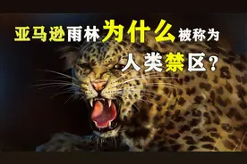 盘点亚马逊雨林五大“恐怖”生物，地球上最毒的青蛙都在这？视频封面