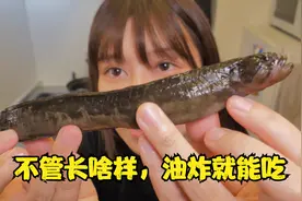 大眼妹海钓收获怪异海泥鳅，裹上面糊油炸，隔壁闺蜜馋哭了！