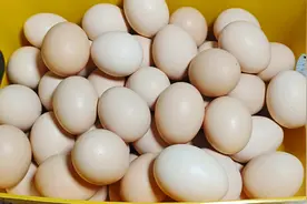 腌制鸡蛋还是这老方法好，个个咸香起沙出油，告诉你详细比例配方