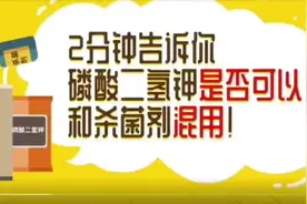 磷酸二氢钾到底能不能和杀菌剂混用呢？视频封面