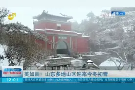 美翻！山东多地迎来今冬初雪，雪花飞舞，白茫茫一片宛若梦幻仙境