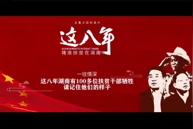 《这八年精准扶贫在湖南》那些为扶贫事业献身的党员干部视频封面