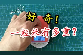 好奇：一粒米、一粒饭有多重呢？