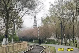 杭州白塔公园-春游赏花好去处