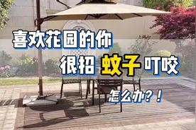 户外招蚊子？花园驱蚊这样做放心玩，院子里没有蚊子的新办法！