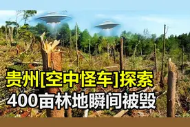 贵州“空中怪车”事件，400亩林地被瞬间毁灭，真相究竟是什么？视频封面