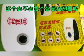 拆解超声波驱蚊驱鼠器 本以为是个智商检测 没想到里面还有点料视频封面