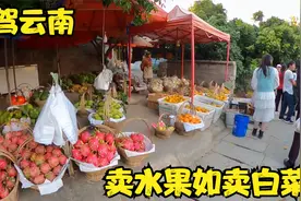四川小伙自驾云南，水果路边摆卖如卖白菜，水果当饭吃太划算了视频封面