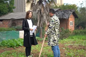 妻子怀孕后给大哥报喜，临走大哥给了袋青菜，打开后夫妻俩感动了视频封面