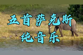 5首萨克斯世界名曲经典纯音乐 旋律优美 舒缓放松 淡淡的忧伤视频封面