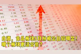 白酒，食品板块5月份机会比较明显！哪个板块更适合些？视频封面