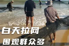 房东的日常爱好，海南陵水清水湾渔民拉网，20多人收获如何？视频封面