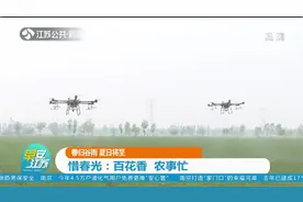 春归谷雨农事忙！又到农作物生长季，乡村呈现一幅繁忙春耕图！视频封面