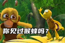 你知道什么是猴蜂吗?为吃到蜂蜜不择手段
