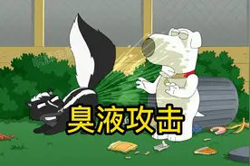 恶搞之家，恶犬布莱恩被臭鼬袭击后觉醒  决定回归野性不当家养犬