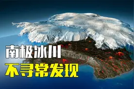 南极冰川发现“不明”物种，全球首例黄金企鹅，放手上被烫死的鱼