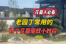 夏日花园必备的四个花园驱蚊小妙招，老园丁的十年驱蚊经验总结！视频封面