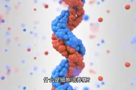 生命的血液——细胞培养基视频封面