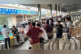 中药材涨幅40年未遇！浙江金华一药农卖元胡10分钟赚52万元视频封面