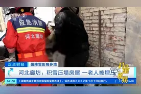 河北廊坊：积雪压塌房屋，一老人被埋压|正点财经视频封面