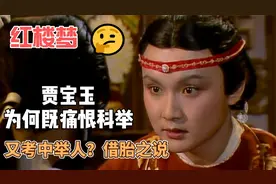 红楼梦：贾宝玉的科举之谜，考中便出家了了，是借胎还是报恩视频封面