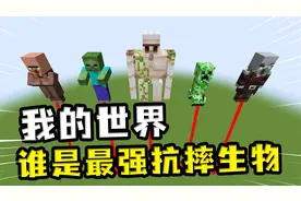 我的世界：什么生物最抗摔落伤害，女巫能抗29格，猫咪：就这？