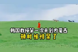 韩国教授第一次来到内蒙古，顿时被惊呆了视频封面