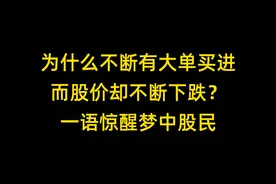 为什么不断有大单买进，而股价却不断下跌？一语惊醒梦中股民视频封面