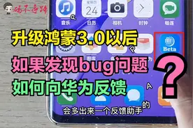 华为手机升级鸿蒙3.0以后，如果发现bug问题，如何向华为反馈？