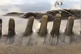 赶海高清4K视频，全方位撒盐挖蛏子手法，就算是新手一看也能学会